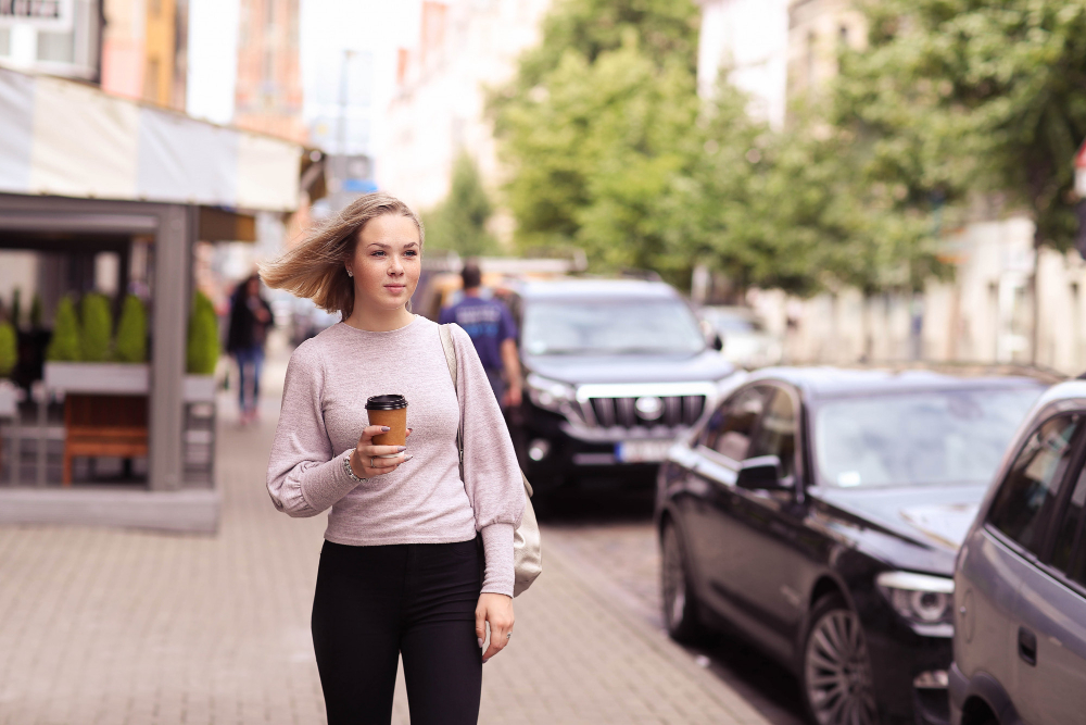 Convivencia y seguridad ciudadana, nueva estrategia
